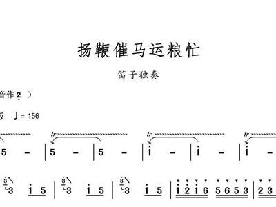 扬鞭催马运粮忙 笛子独奏曲